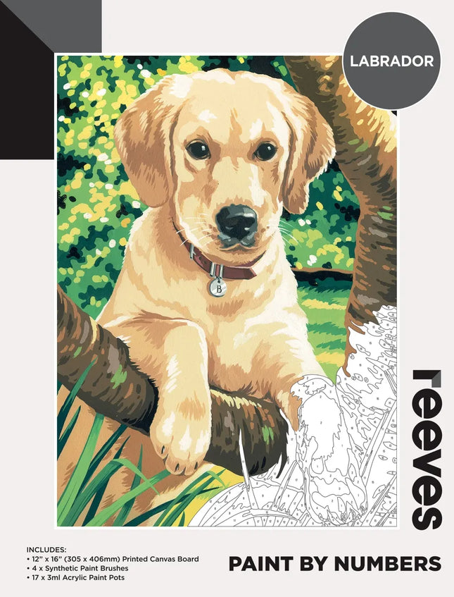 Reeves Paint By Numbers Kits - Labrador