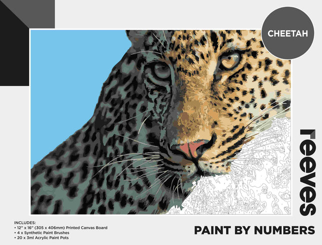 Reeves Paint By Numbers Kits - Cheetah