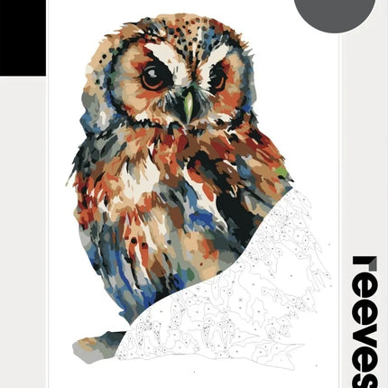 Reeves Paint By Numbers Kits - Owl