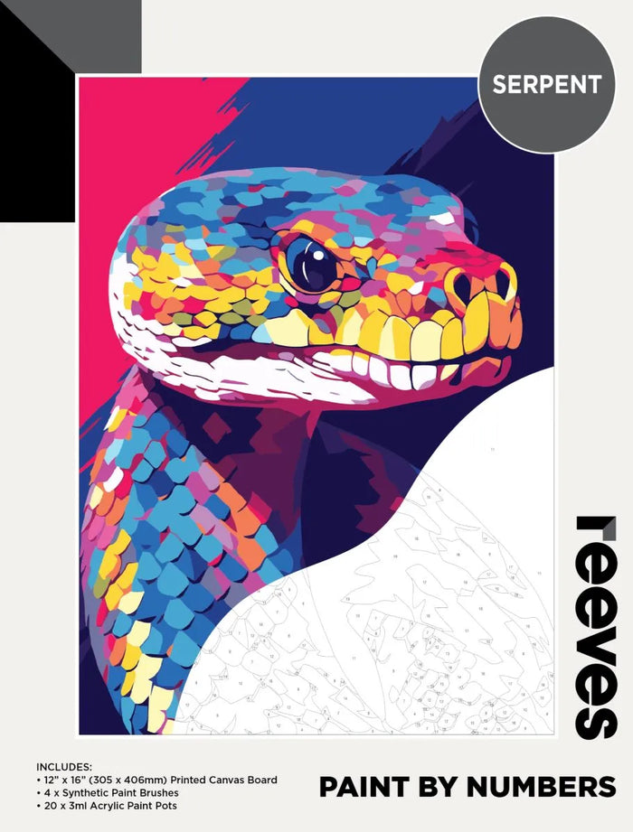Reeves Paint By Numbers Kits - Serpent