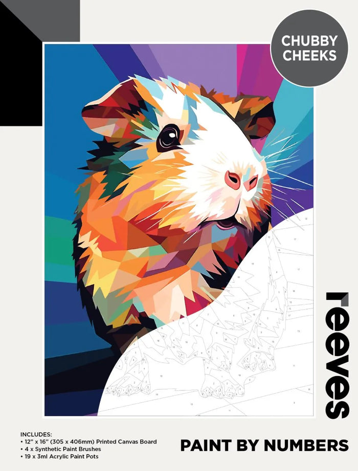 Reeves Paint By Numbers Kits - Chubby Cheeks