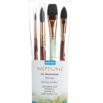 Princeton Neptune Professional 4 Piece Set