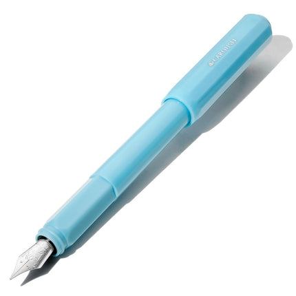 Ferris Wheel Press Fountain Pen Carousel - Feathered Flight