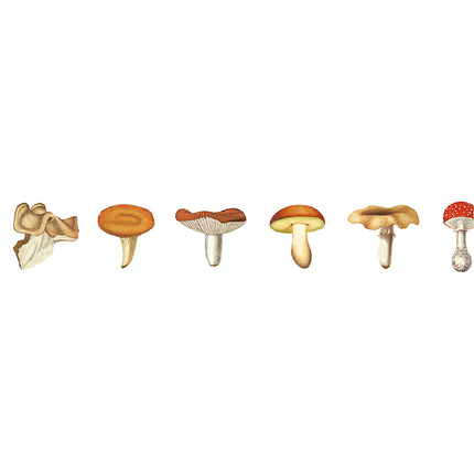 MT Washi Tape 15mm x 7m - EX Mushroom