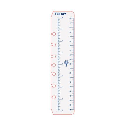 Debden Dayplanner - Desk - Today Ruler 2 Pack - Refill