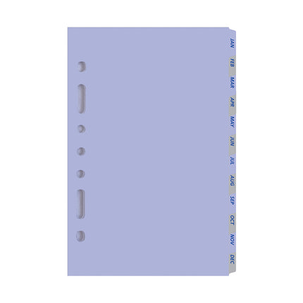 Debden Dayplanner - Desk - Jan-Dec Tabs - Refill