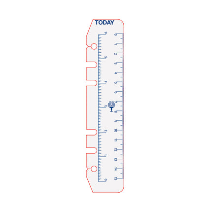 Debden Dayplanner Personal - Today Ruler 2 Pack - Refill