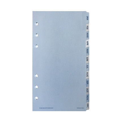Debden Dayplanner Personal - Jan-Dec Tabs - Refill
