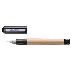 Collection image for: Lamy Fountain Pens