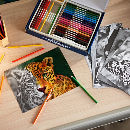 Crayola HD Colouring Kit