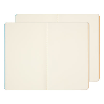 Moleskine Impressionism Cahier - Large - Plain Set 2