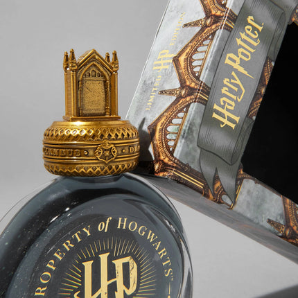 Ferris Wheel Press Fountain Pen Ink - Harry Potter The Mirror of Erised 38ml