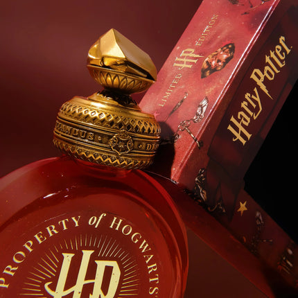 Ferris Wheel Press Fountain Pen Ink - Harry Potter The Sorcerer's Stone 38ml