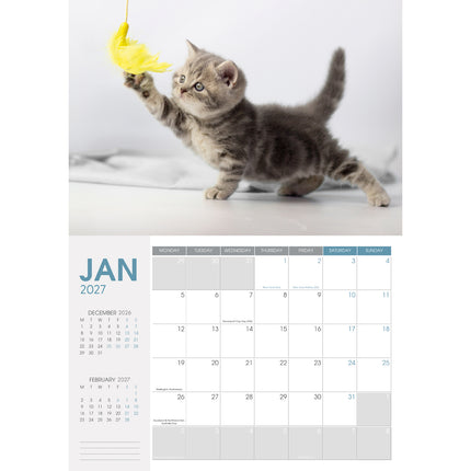 Collins Wall Calendar - A4 - Cats & Dogs - 2027