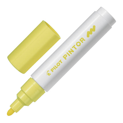 Pilot Pintor Acrylic Paint Markers Medium Tip