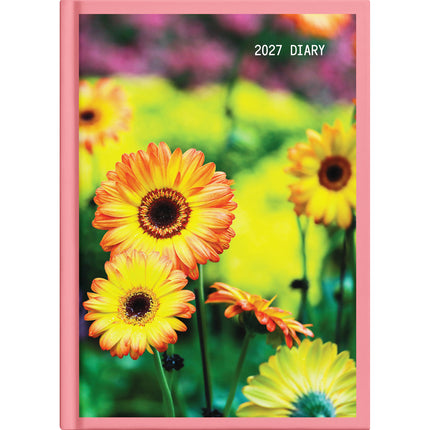 Collins Diary A5 Floral - Day to Page - 2027 - Pack of 4