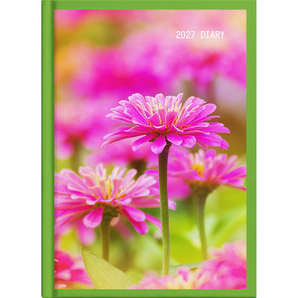 Collins Diary A5 Floral - Day to Page - 2027 - Pack of 4
