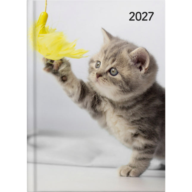Collins Diary A5 Cats & Dogs - Day to Page - 2027 - Pack of 4