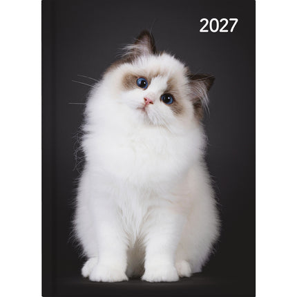 Collins Diary A5 Cats & Dogs - Day to Page - 2027 - Pack of 4