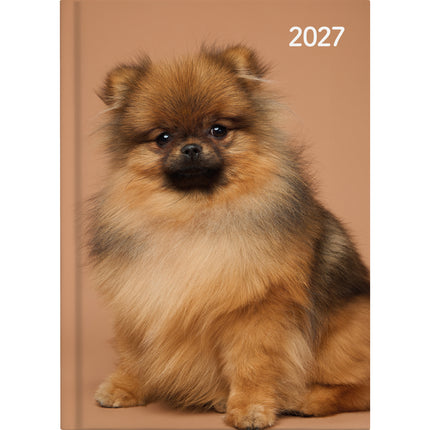 Collins Diary A5 Cats & Dogs - Day to Page - 2027 - Pack of 4