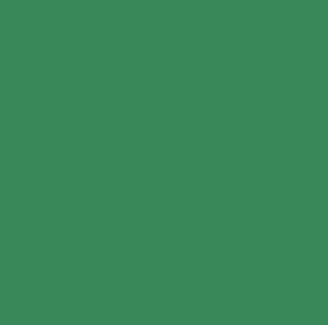 FolkArt Multi-Surface - 59ml (2oz)