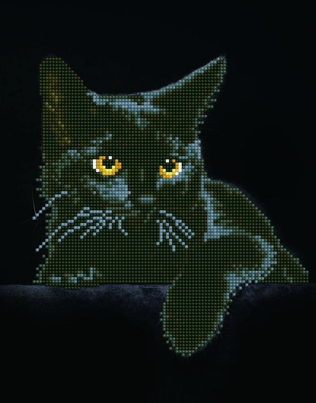 Diamond Dotz Diamond Kit - Midnight Cat