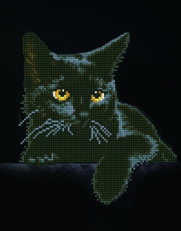 Diamond Dotz Diamond Kit - Midnight Cat