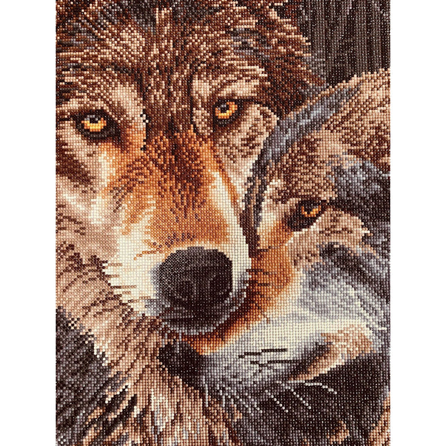 Diamond Dotz Diamond Kit - Muzzle Nuzzle