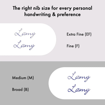 Lamy LX Fountain Pen - Ruthenium