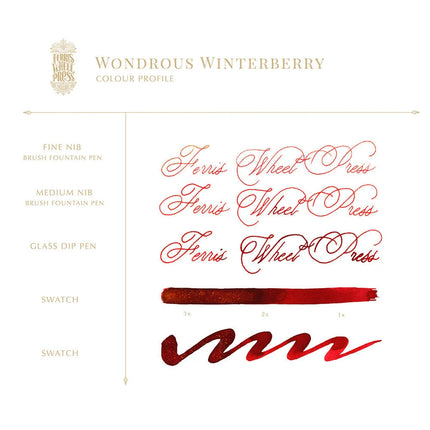 Ferris Wheel Press Fountain Pen Ink - Wondrous Winterberry