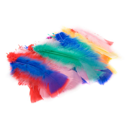 DAS Feathers Coloured Pack of 45