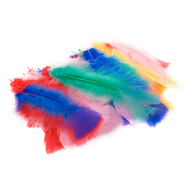 DAS Feathers Coloured Pack of 45