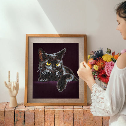 Diamond Dotz Diamond Kit - Midnight Cat