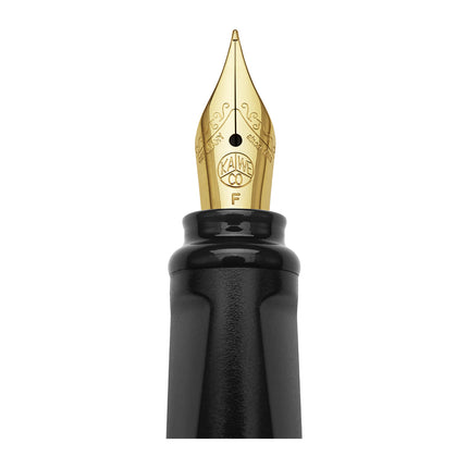 Moleskine Kaweco Fountain Pens