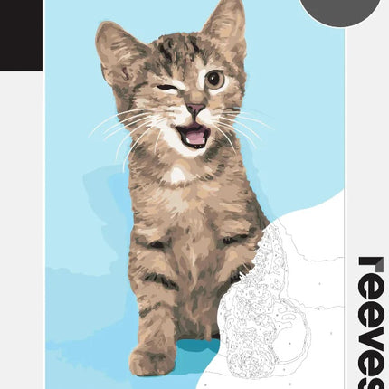 Reeves Paint By Numbers Kits - Kitten