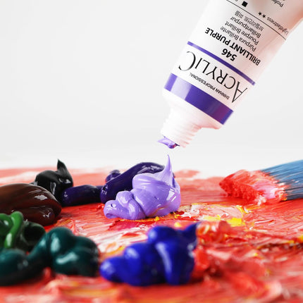 ShinHan Professional Acrylic Paints 50ml - Set A - Pack of 12