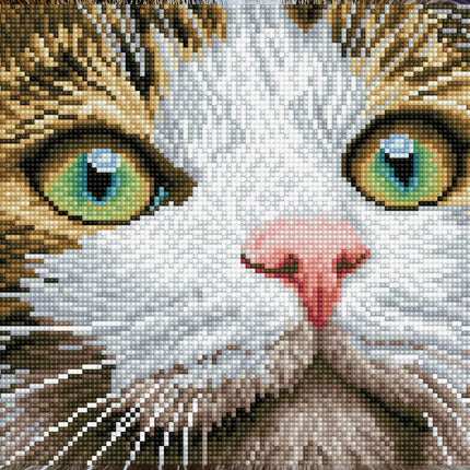 Diamond Dotz Diamond Kit - Green Eyed Beauty