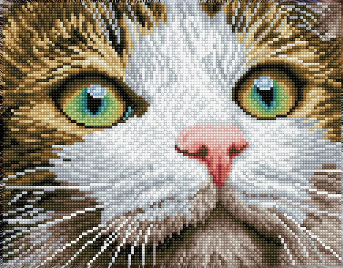 Diamond Dotz Diamond Kit - Green Eyed Beauty
