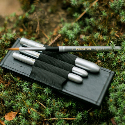 Princeton AquaElite Travel Brush Set