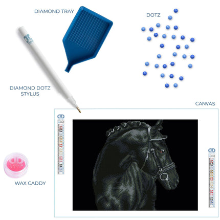 Diamond Dotz Diamond Kit - Black Sheen