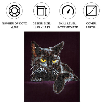 Diamond Dotz Diamond Kit - Midnight Cat