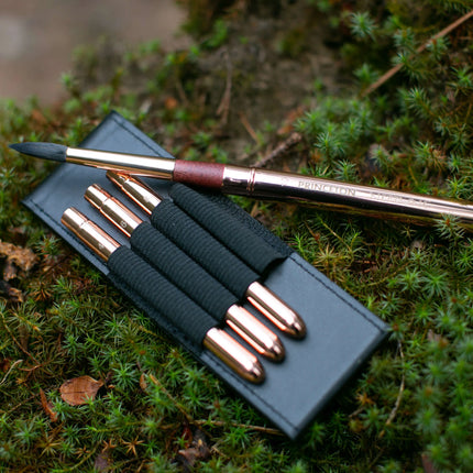 Princeton Neptune Travel Brush Set