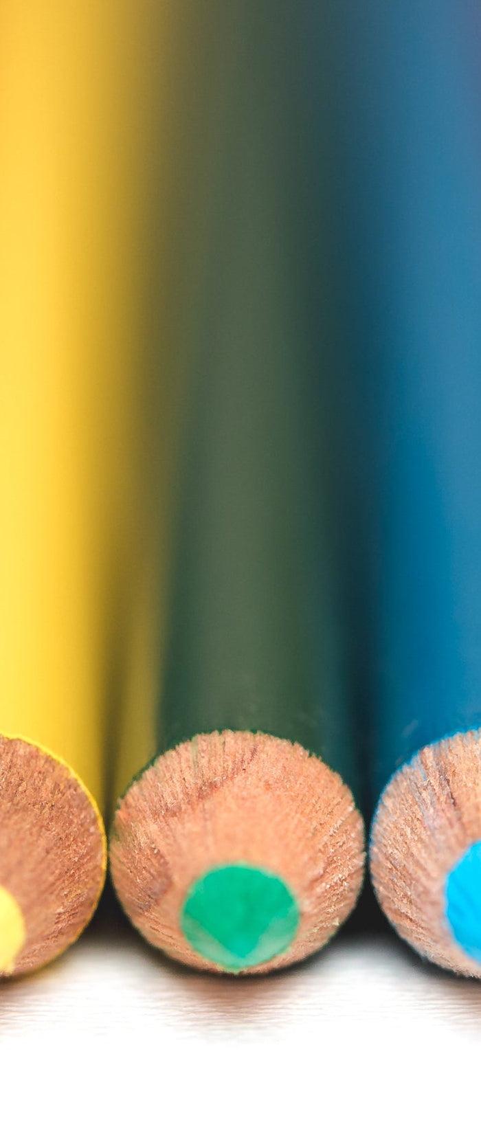 <h1>Pre-School - Enthusiast - Professional</h1>