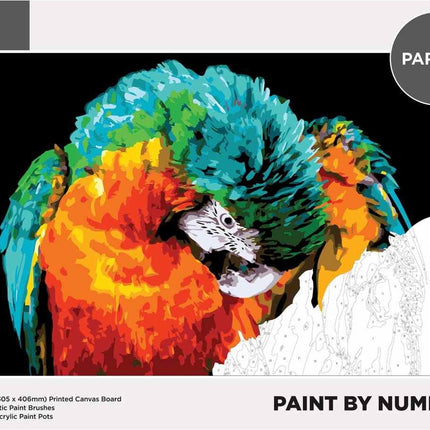 Reeves Paint By Numbers Kits - Parrot