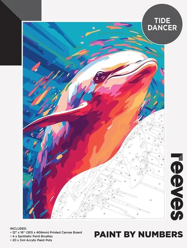 Reeves Paint By Numbers Kits - Tide Dancer