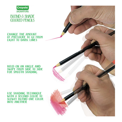 Crayola Signature Blend & Shade Coloured Pencils - Pack of 24